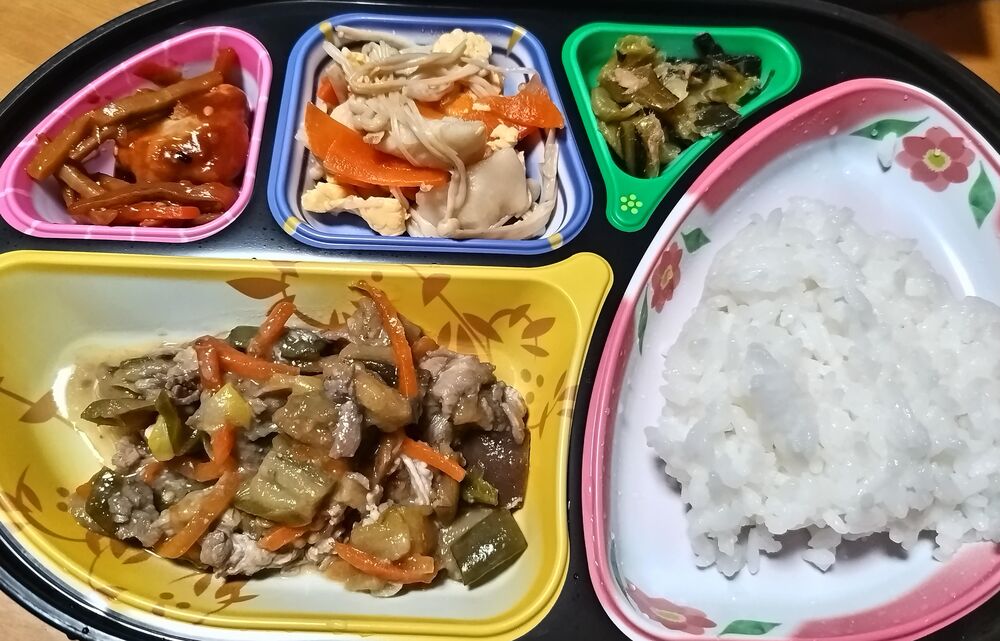 豚肉とナスの味噌炒め、中華風鳥きんぴら 等の画像
